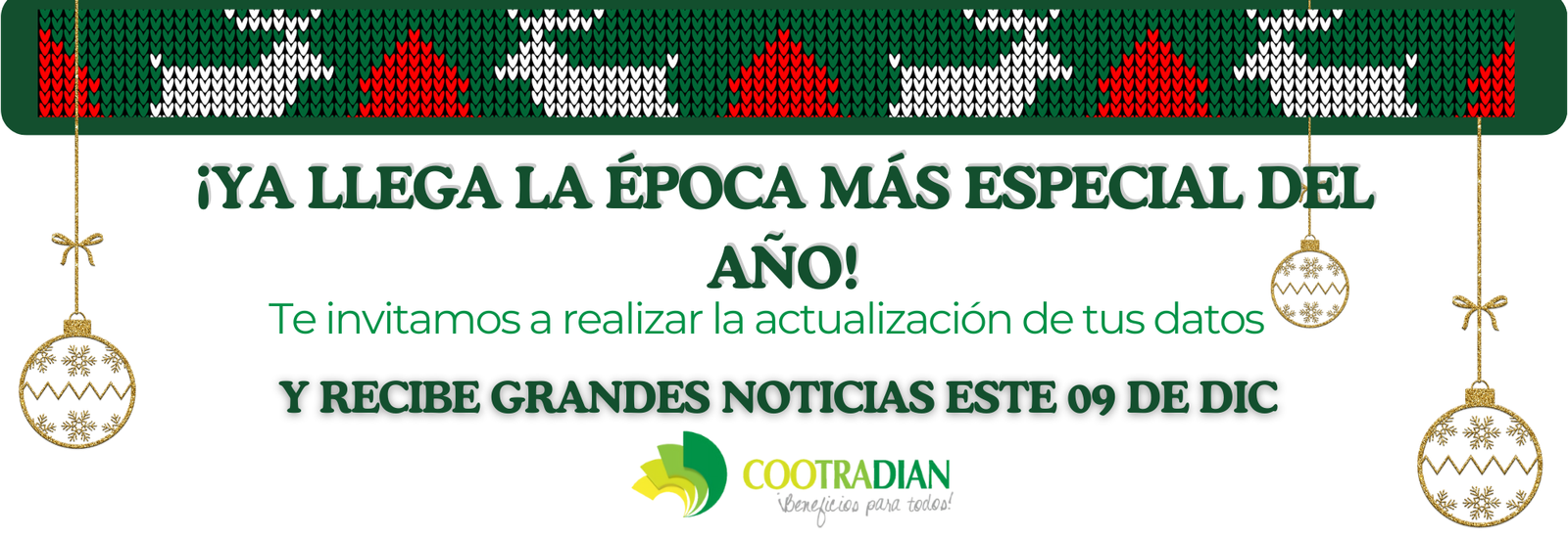 ACTUALIZACION DE DATOS pag